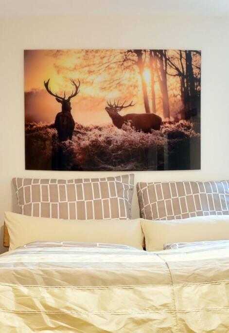 Ferienwohnung Ivanka Mit Garten Schliersee Dış mekan fotoğraf