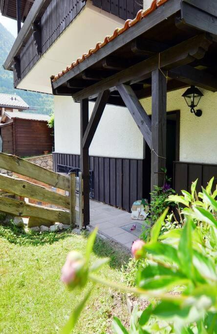 Ferienwohnung Ivanka Mit Garten Schliersee Dış mekan fotoğraf